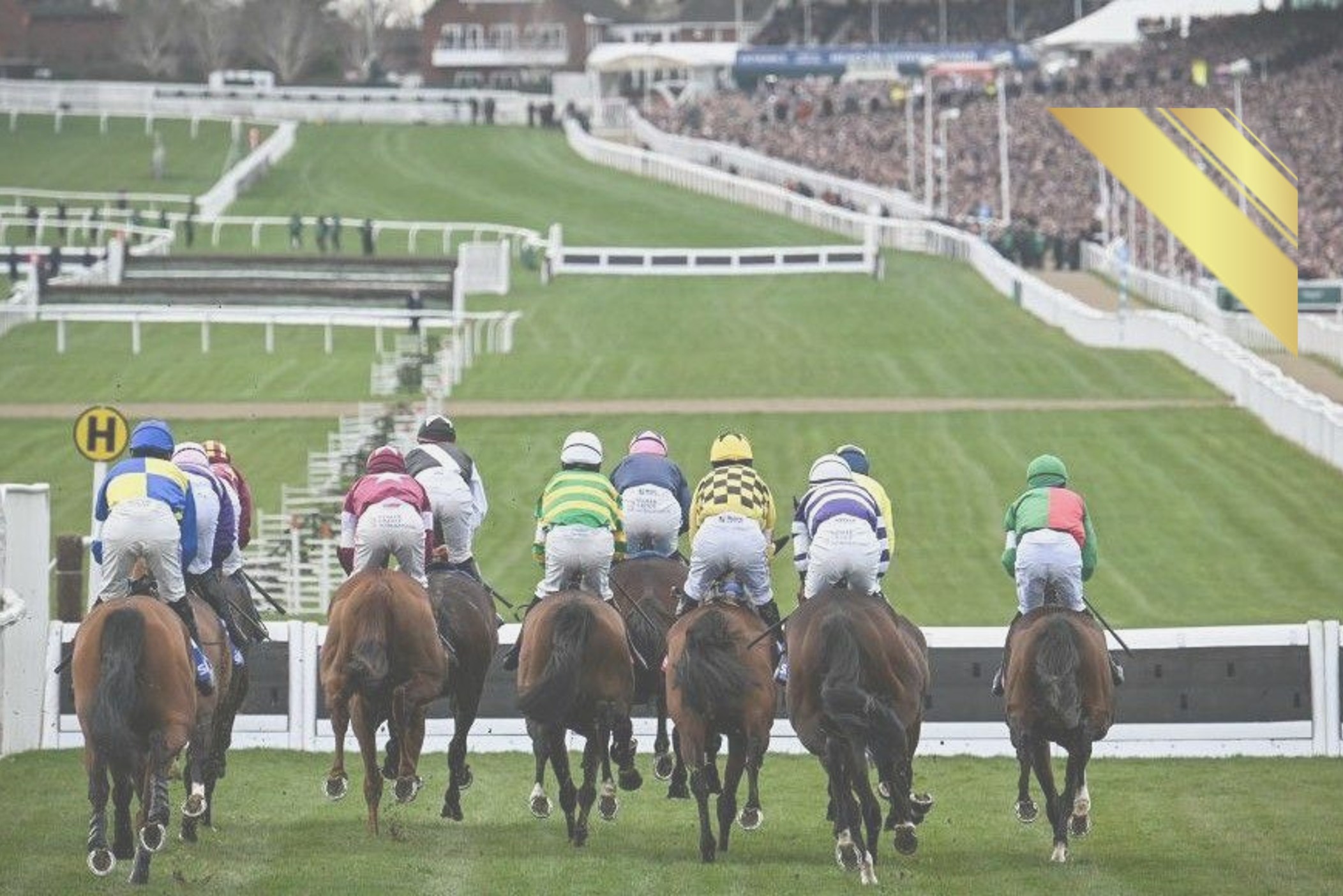 Cheltenham Festival 2026 horse racing hospitality and Gold Cup tickets