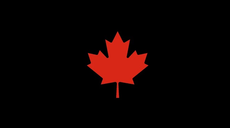 sincura company news 2025 - sincura launch in canada