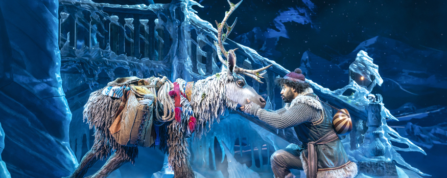 Book VIP high end tickets for Frozen: the musical on Broadway and West End