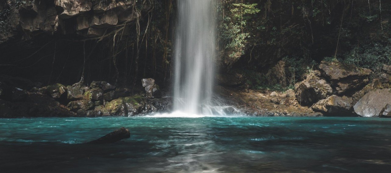book a trip of a lifetime to see nature's wonderland in costa rica