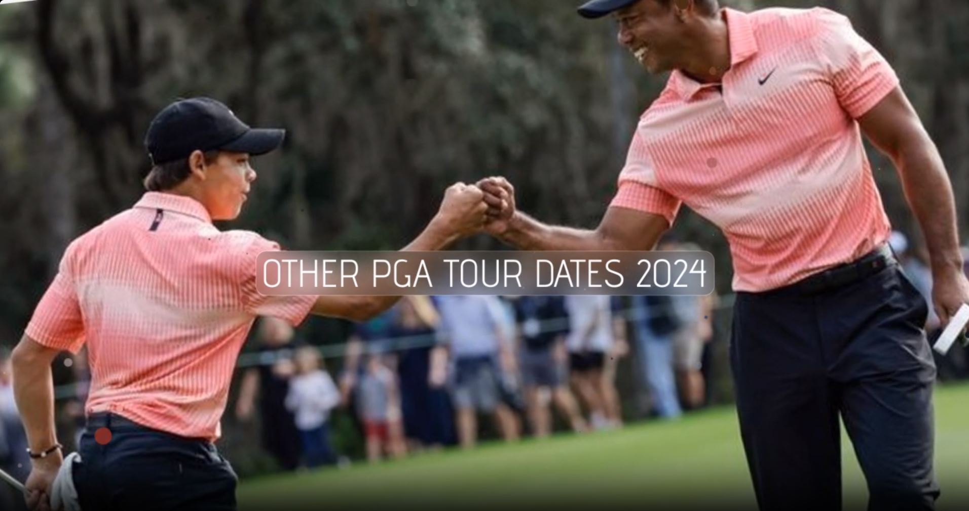 Buy vip tickets and corporate hospitality to every pga tour golf tournament in 2024